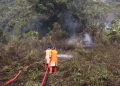 ยะลา-เบตง ไฟไหม้ป่าหญ้าข้างทาง โชคดีเจ้าหน้าที่ดับทัน ไม่งั้นลามขึ้นเขาไหม้สวนยางพาราของชาวบ้านแน่นอน