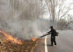 แม่ฮ่องสอน-ไฟป่าพ่นพิษ ไหม้สายเน็ตวอด ระบบถูกตัดขาด การสื่อสารล่ม เจ้าหน้าที่เร่งแก้ไข เสียหายกระจายหลายจุด