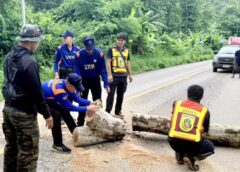 แม่ฮ่องสอน-นพค.36 ร่วม อบต.แม่คะตวน เร่งตัดไม้ล้มขวางเส้นทางหลวง 105 แม่สะเรียง – สบเมย ผ่านได้ปกติแล้ว