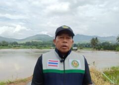 แม่ฮ่องสอน-นายก อบต.แม่ลาหลวง เร่งสำรวจความเสียหาย น้ำลาหลาก นา-สวนจมน้ำ 170 ไร่ 36 ครัวเรือนเดือดร้อน