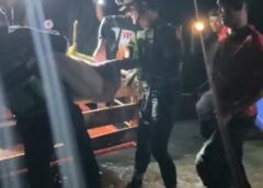 บุรีรัมย์ -ระทึกกลางดึกกู้ภัย ขนย้ายหมู 40 ตัวทางเรือหนีน้ำท่วม