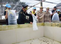พิษณุโลก ผบ.มทบ.39 : เป็นประธานพิธีมอบพันธุ์กบนาพระราชทาน จากโครงการทหารพันธุ์ดี ณ โรงเรียนพิษณุโลกพิทยาคม