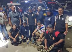 ปทุมธานี -พบจระเข้ยาวเกือบ2 เมตร (190 cm )ในทุ่งนาหมู่ที่ 3 ตำบลบางโพธิ์เหนือ อำเภอสามโคก